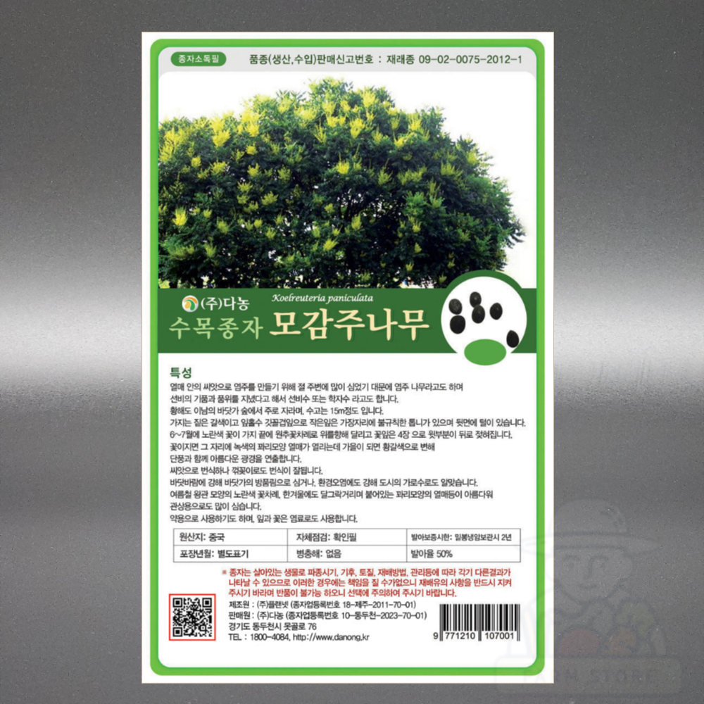 모감주 나무 씨앗 20g 염주 선비수 학자수 방풍림 가로수 관상용 조경 수목 종자 씨 : 장보고팜스토어