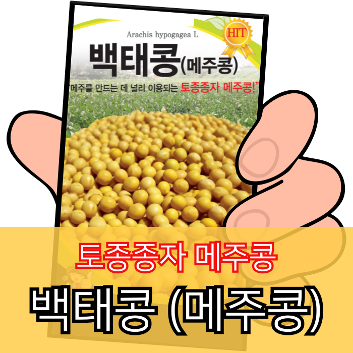 백태콩 30g 메주콩 씨앗 종자 가드닝 주말농장 텃밭 세계종묘 : 농약사유