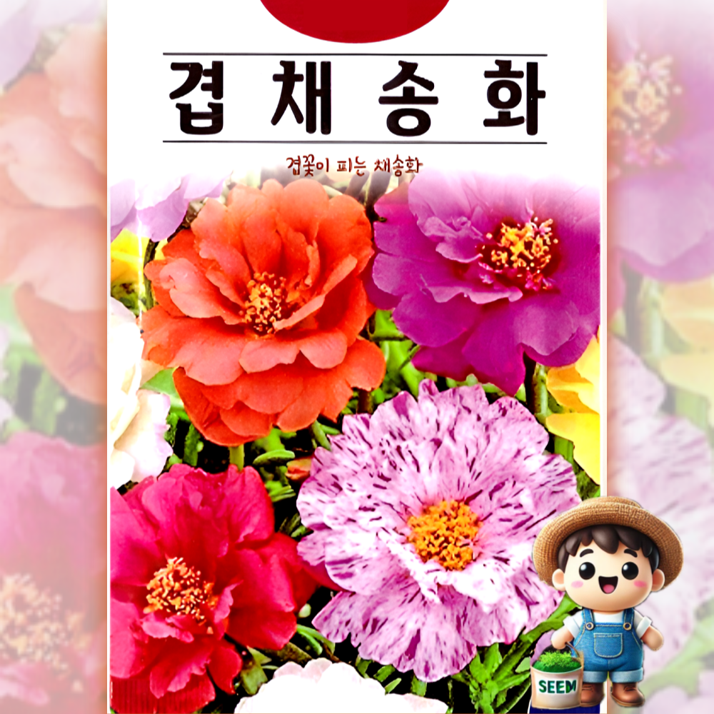 겹채송화 1000립 겹꽃 채송화 꽃씨 씨앗 종자 : 남흥원예사