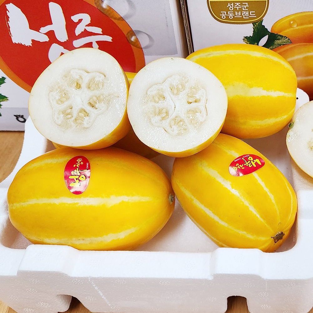 프리미엄 성주고당도겨울 하우스 제철 꿀 참외 가정용 로얄과 참외1.5kg 3kg 5kg : 마니기업