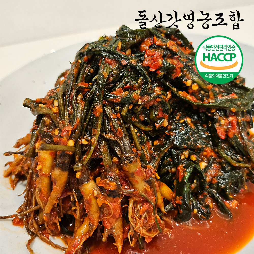 [돌산갓영농조합] 산지직송 전라도 여수돌산 고들빼기 1kg : 플젠하우스