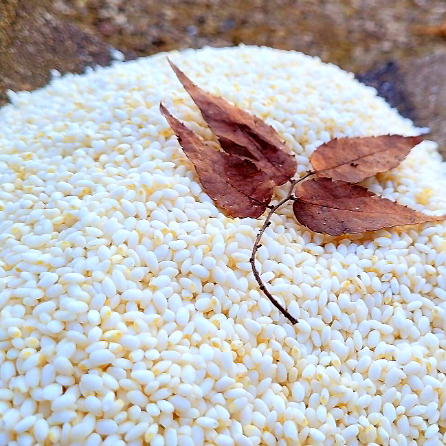 24년산 국산 햇찹쌀 1kg : 땅에서 올라온 콩이야기