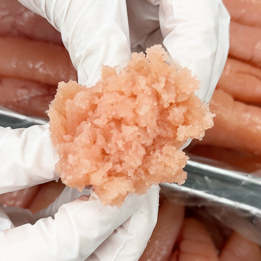 아린이네 생선가게 개별포장 백명란 450g (7개 이상) : 아린이네 생선가게