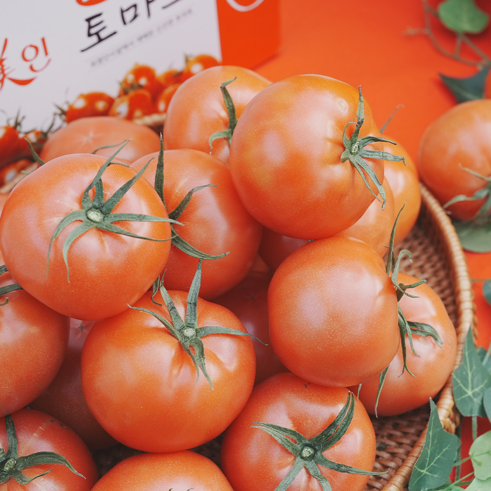 완숙 동양종 찰 토마토 2kg 4kg : 전북특별자치유통센터