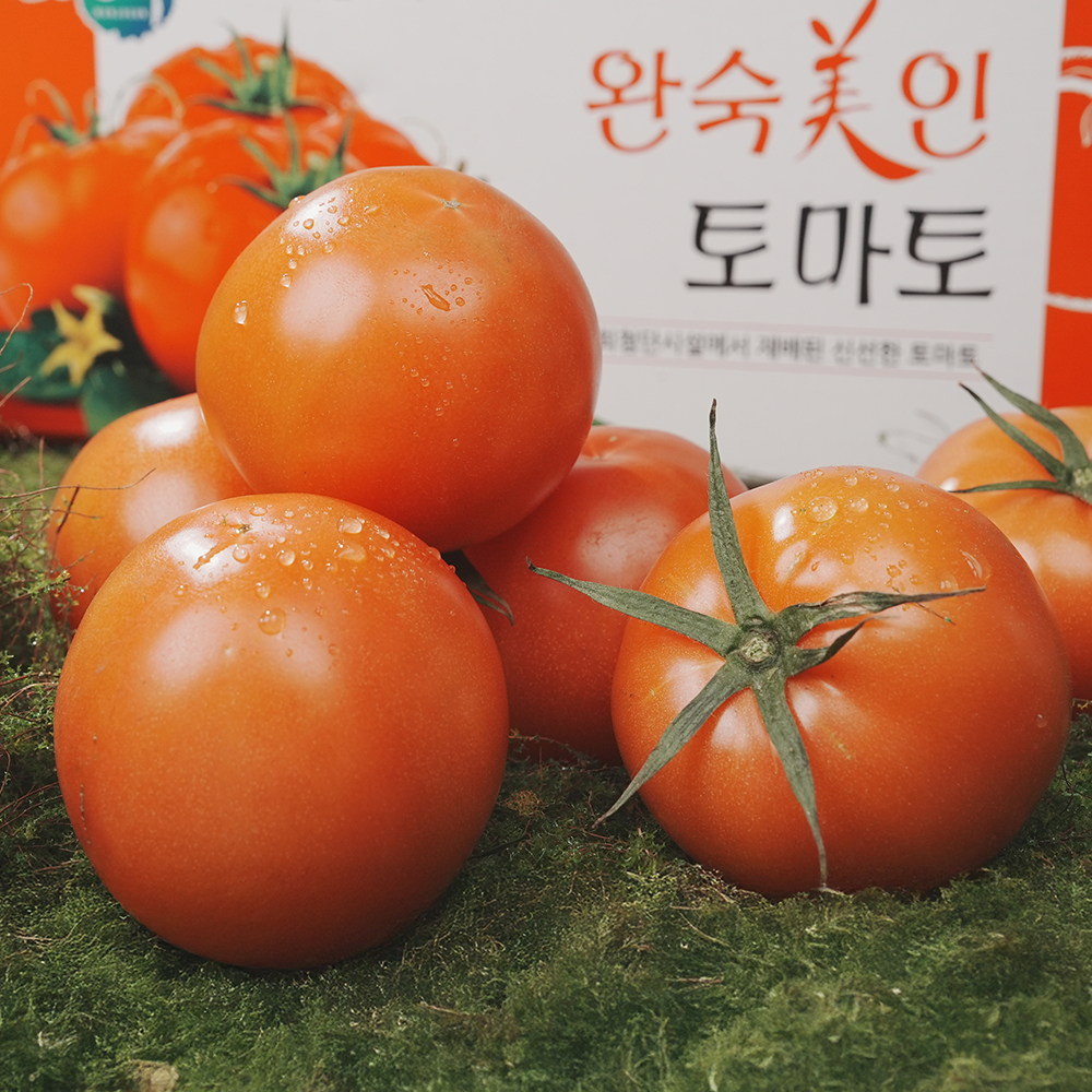 완숙 동양종 찰 토마토 2kg 4kg : 전북특별자치유통센터
