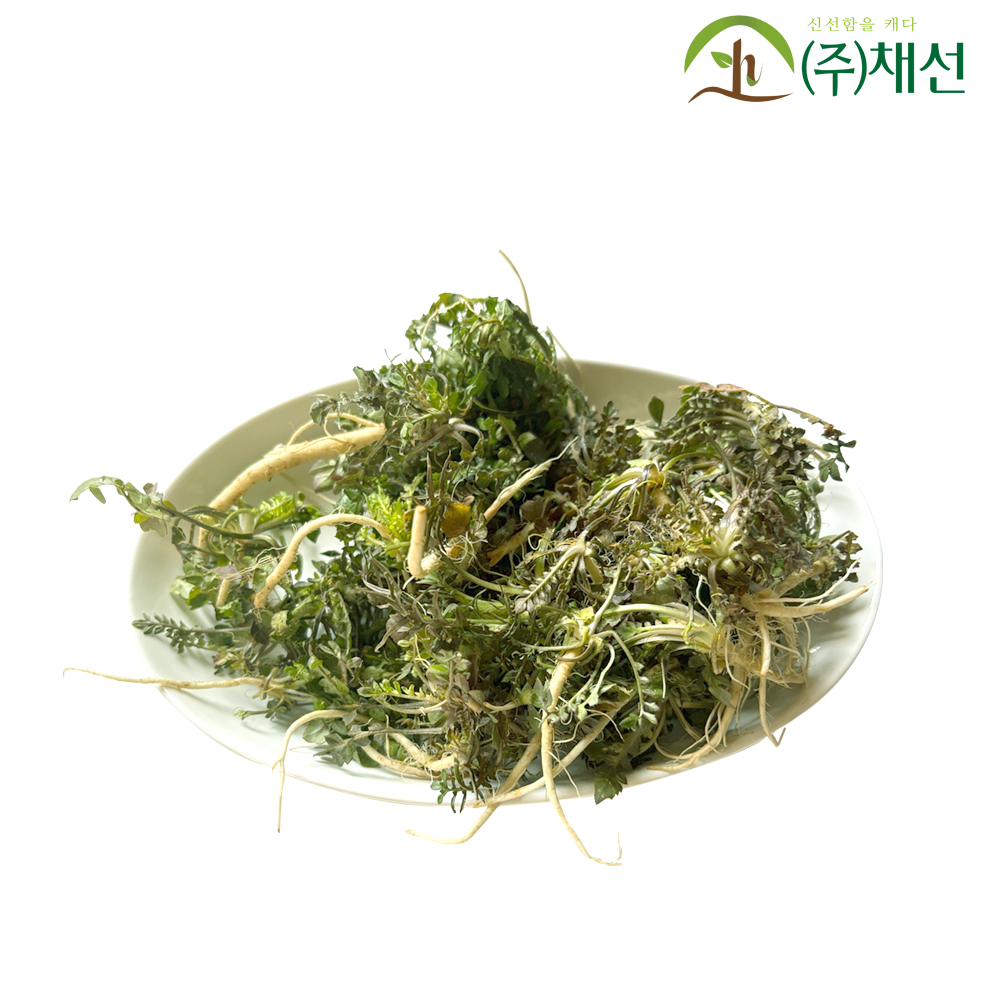 해풍맞은 노지냉이 햇 냉이 봄나물 1kg 세척 냉이 : 주식회사 채선