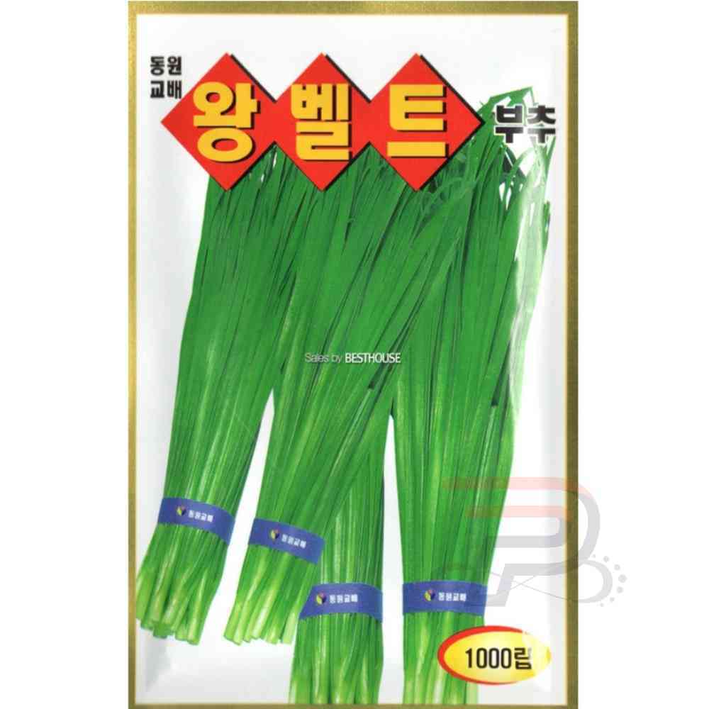 공공 부추 씨앗 텃밭씨앗 채소씨앗 : 공공마트