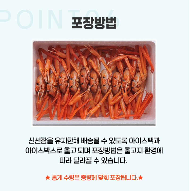 (애니파인) 고급 프리미엄 홍게 품질보증 산지직송,연지 홍게 3kg(9~11미) 수율 80% : 애니파인1322