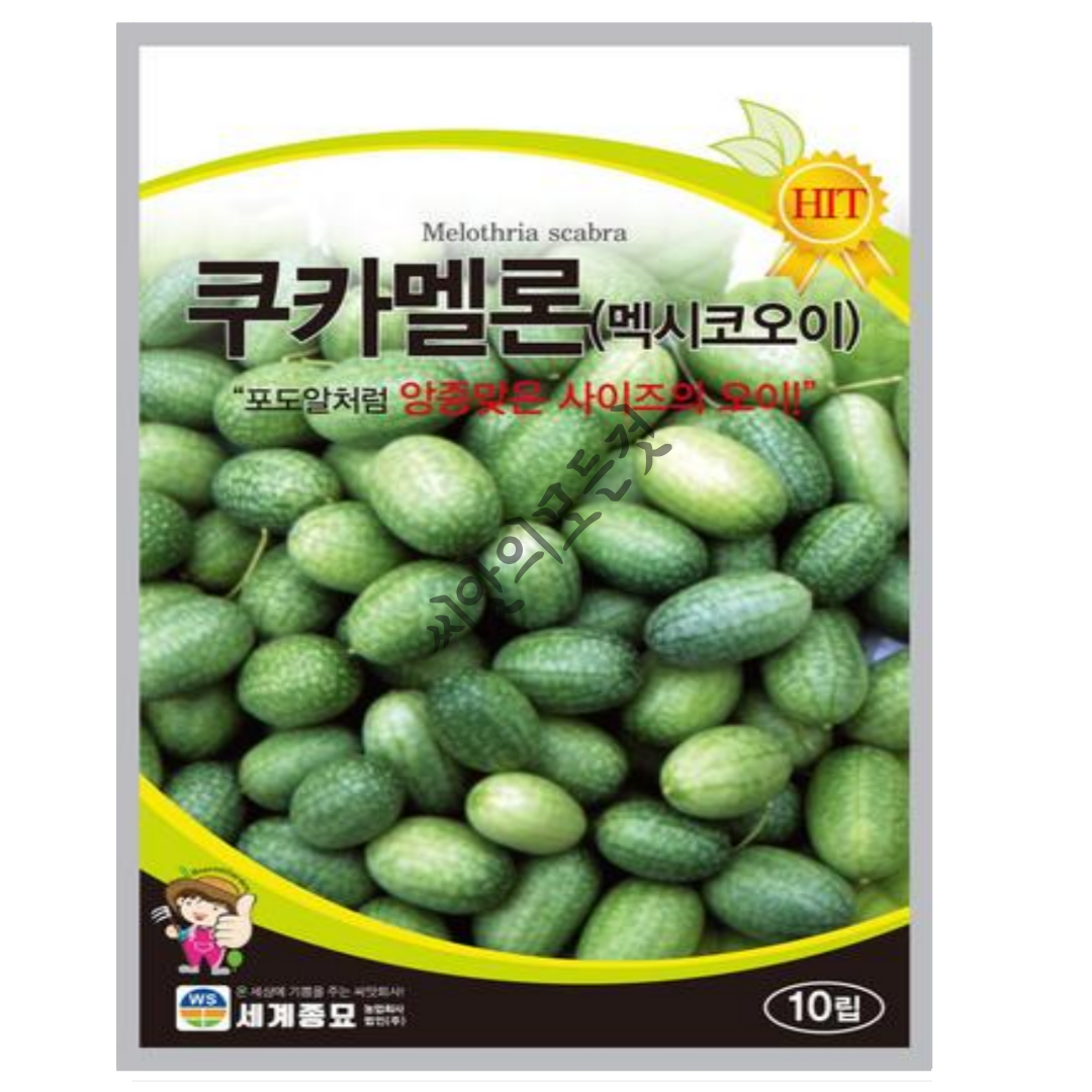 쿠카멜론 멕시코오이씨앗 10립 종자 쿠커 : 씨앗의모든것