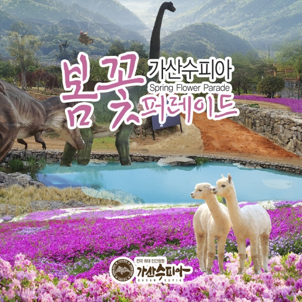 [칠곡] 가산수피아 패키지권 할인 : LSCOMPANY