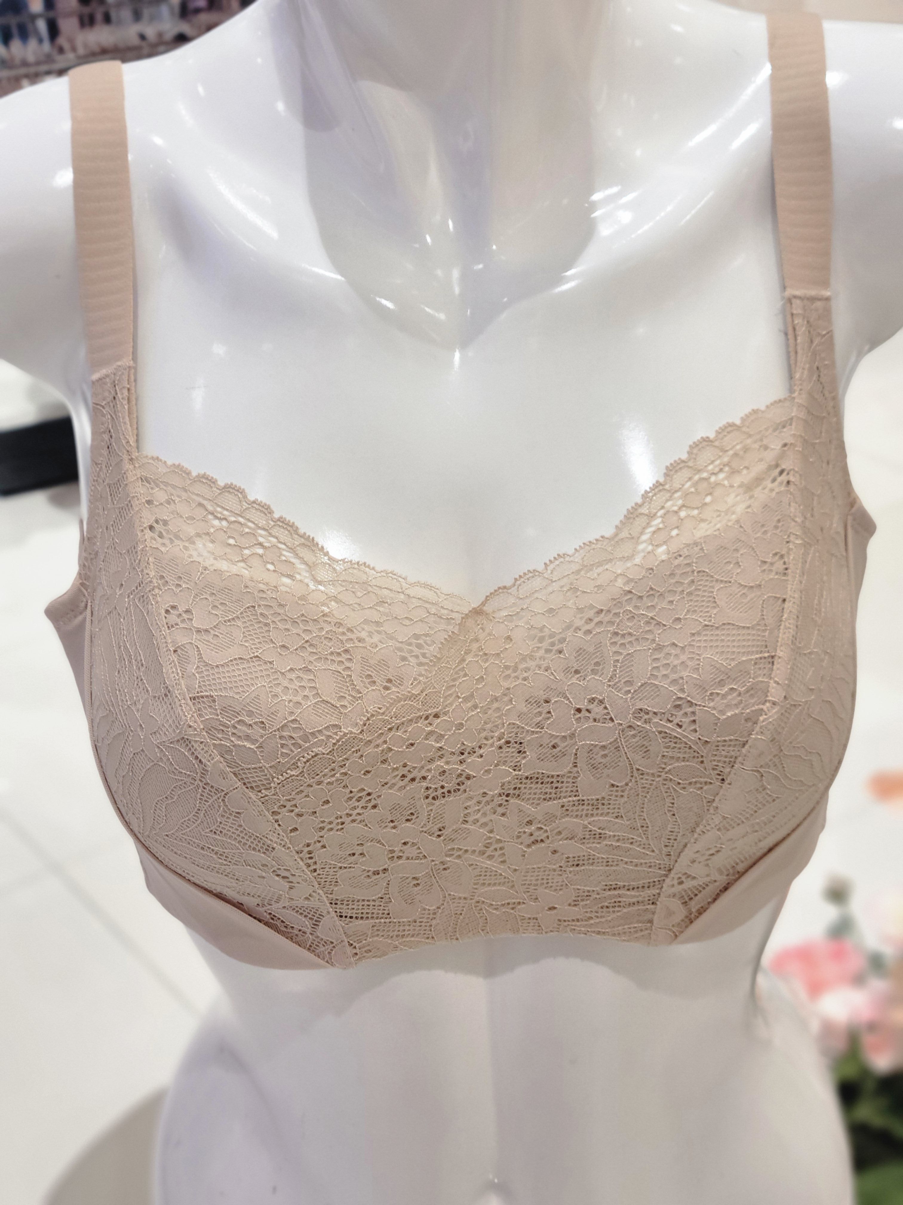 비너스 G컵까지 나오는 보정브라 브라운 VBRG555 BR : 롯데이천 비너스 와코루