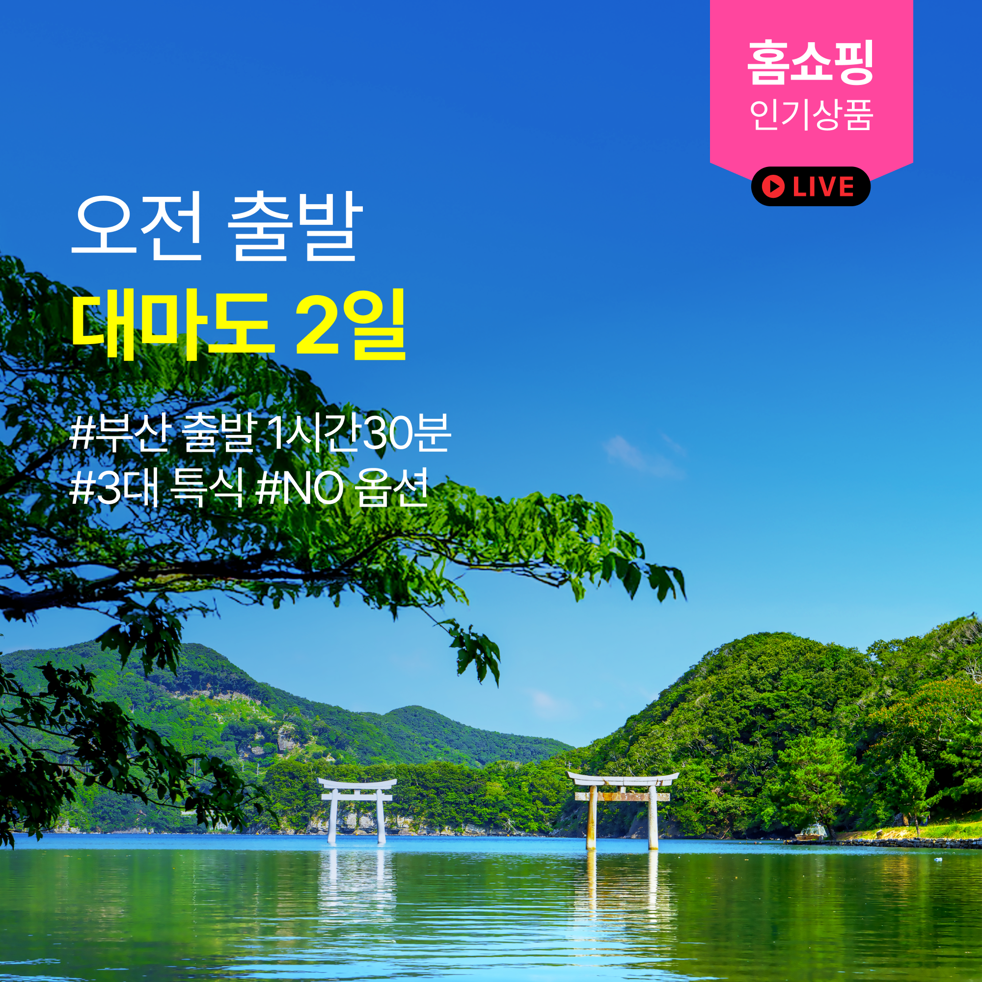 가볍게 떠나는 대마도여행 1박2일 패키지 부산출발 : 투어비스 여행