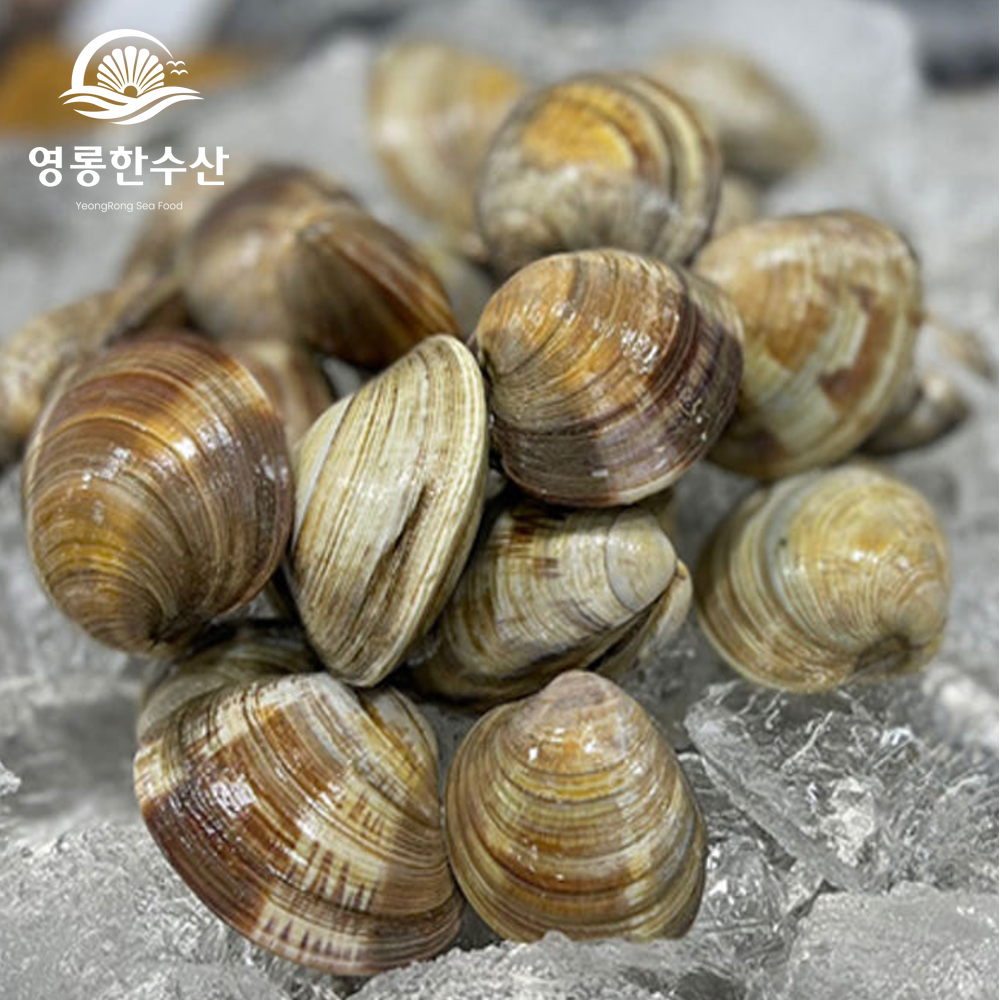 1인분 백합 칼국수 밀키트 (간편조리) : 영롱한수산