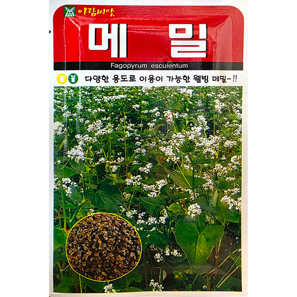 메밀 30g 메밀씨앗 : 중앙종묘농약사