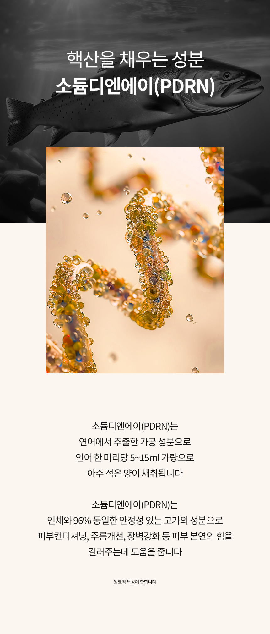 더마유어셀 샤인솔루션 : 더마유어셀