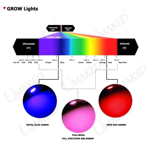고출력 LED COB 풀 스펙트럼 식물 조명, CRI 95 Epistar 45mil 라이트 칩, 120W, 380-840nm, 1 개 : 교토신사
