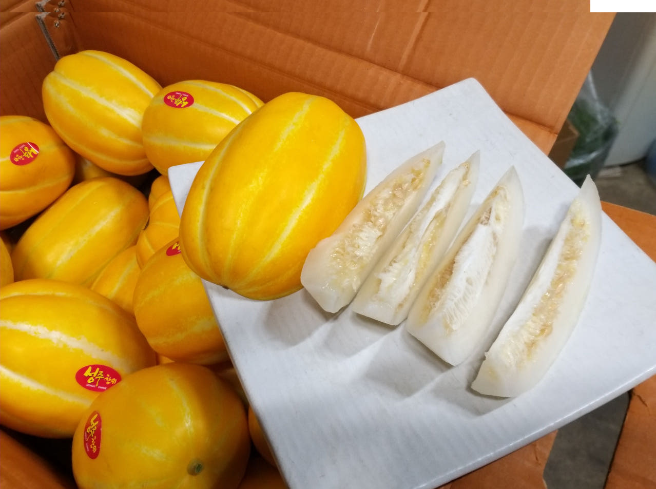2025년 성주 참외 2kg 8000원 : 만덕농산
