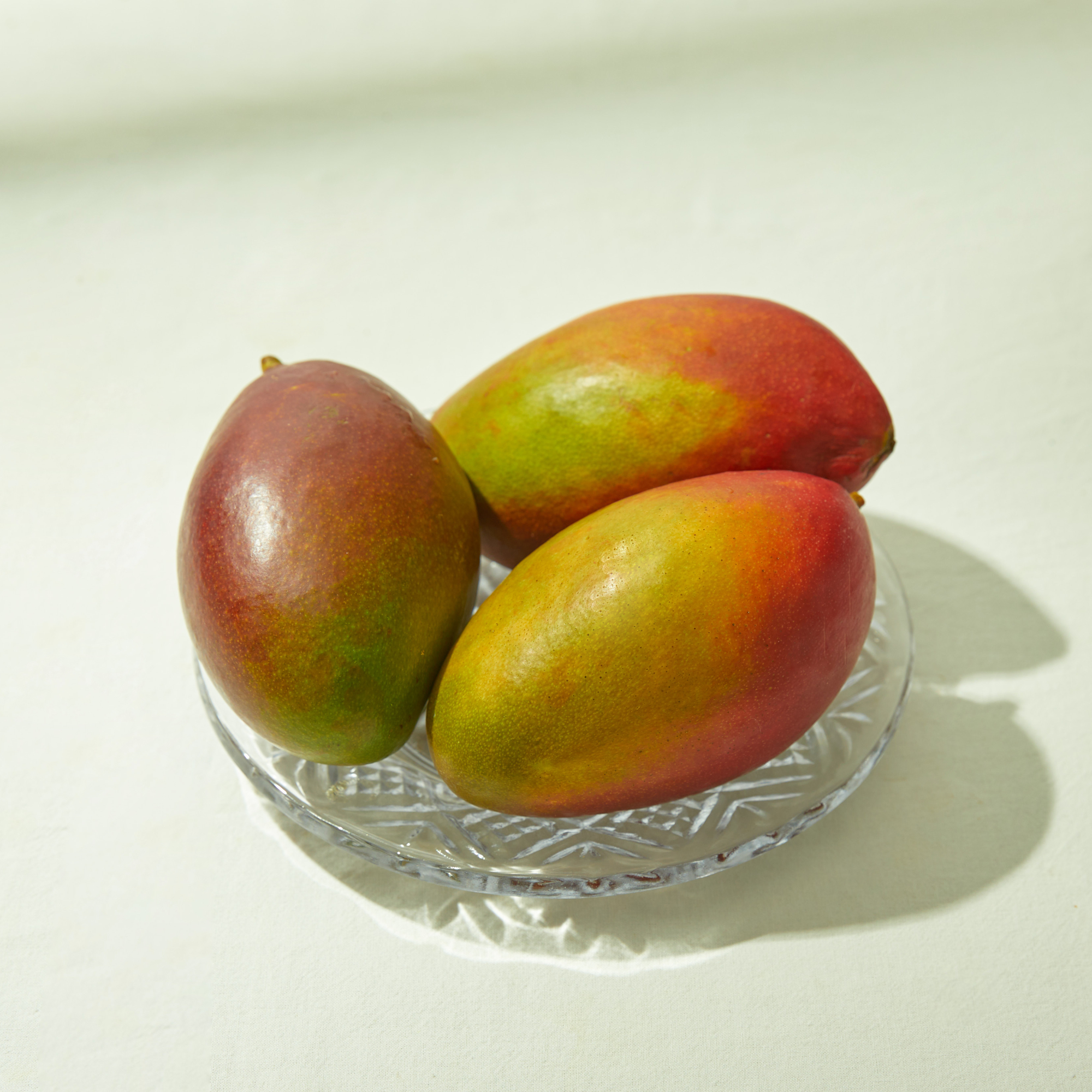 애플 망고 1kg 2kg 3.8kg 수입과일 과일선물세트 브라질 : 발품이 멈추는 곳
