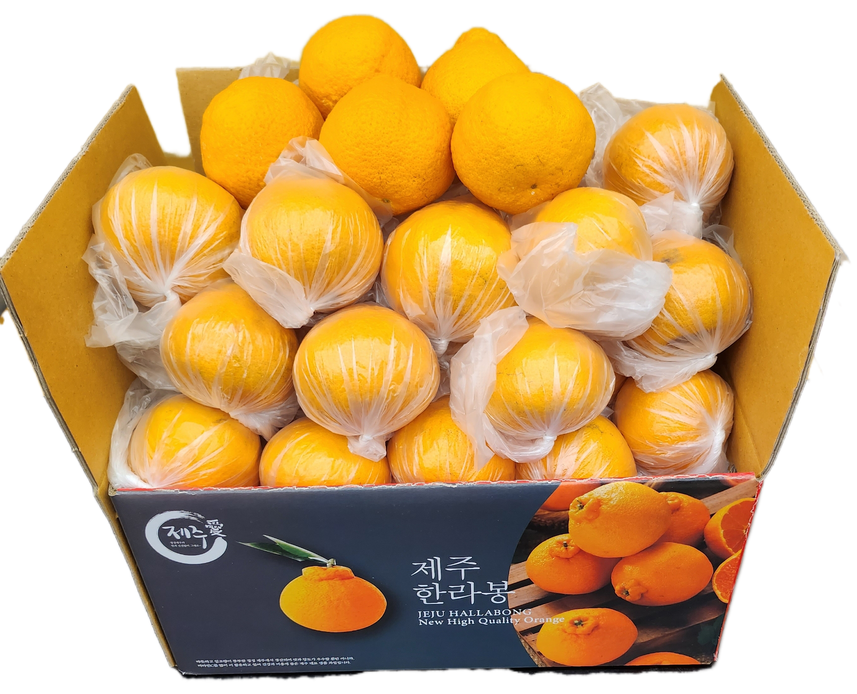 산지직송 제주 노지한라봉 9kg, 1개 : 신대로 청과