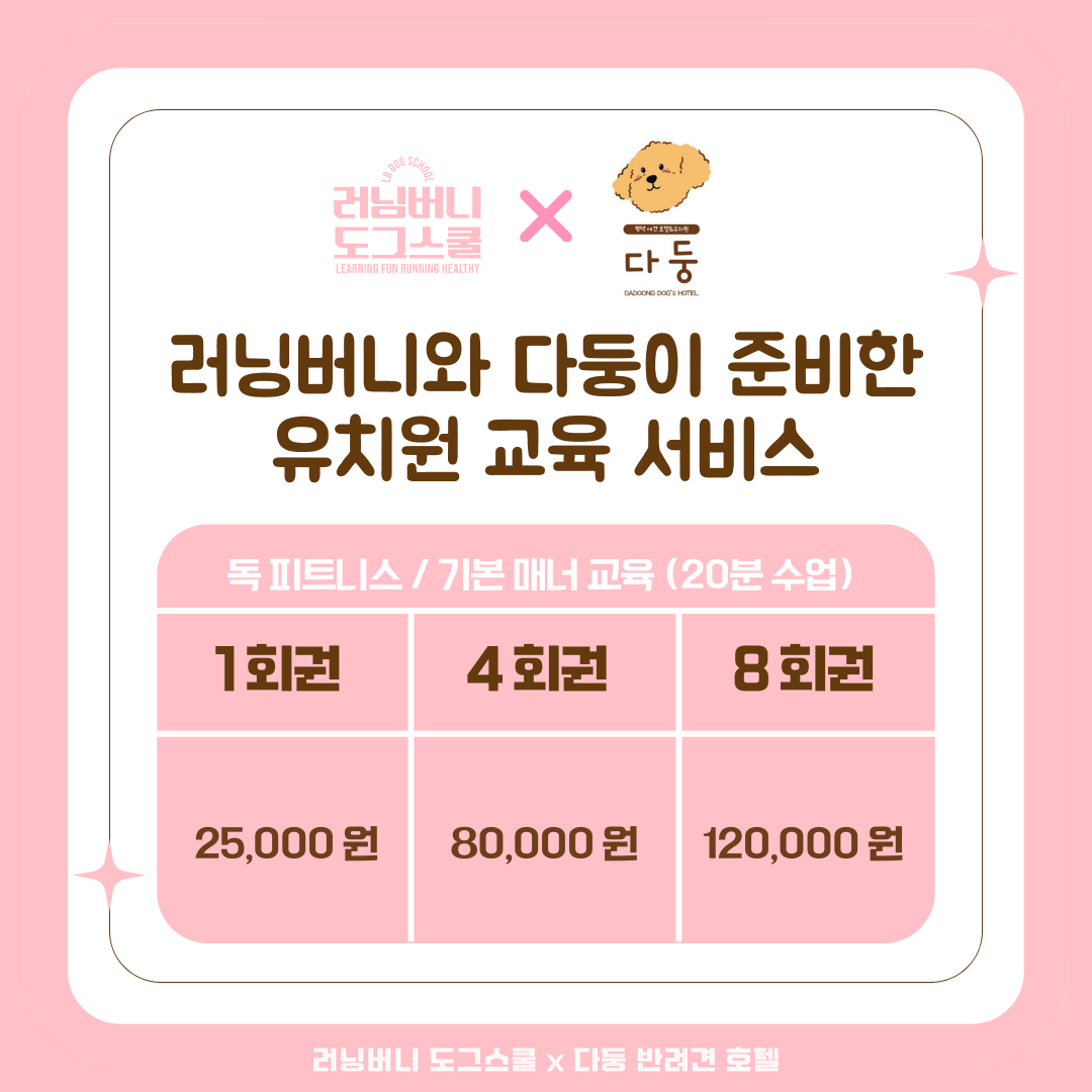 러닝버니 X 다둥 유치원 교육 이용권 (피트니스/ 산책/ 행동수정) : 러닝버니 도그스쿨