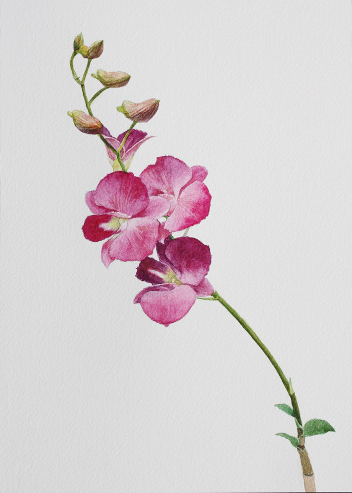 수채화 원데이클래스 : Flower Gallery