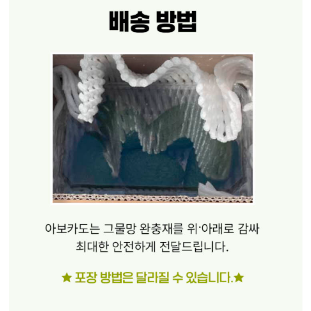 천연버터 하루한알 아보카도 건강한습관 5과 10과 : 산월애팜