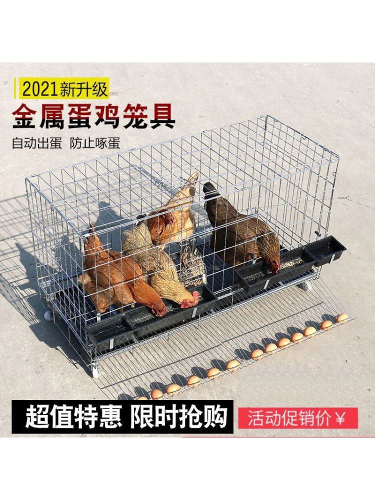 이동식 닭장 마당 사육장 가정용 병아리 산란장 실내 철망케이지 60x70x75 전원주택 5 60 43 50 1-2마리적합 +굵은세트1 : 믿음이상점