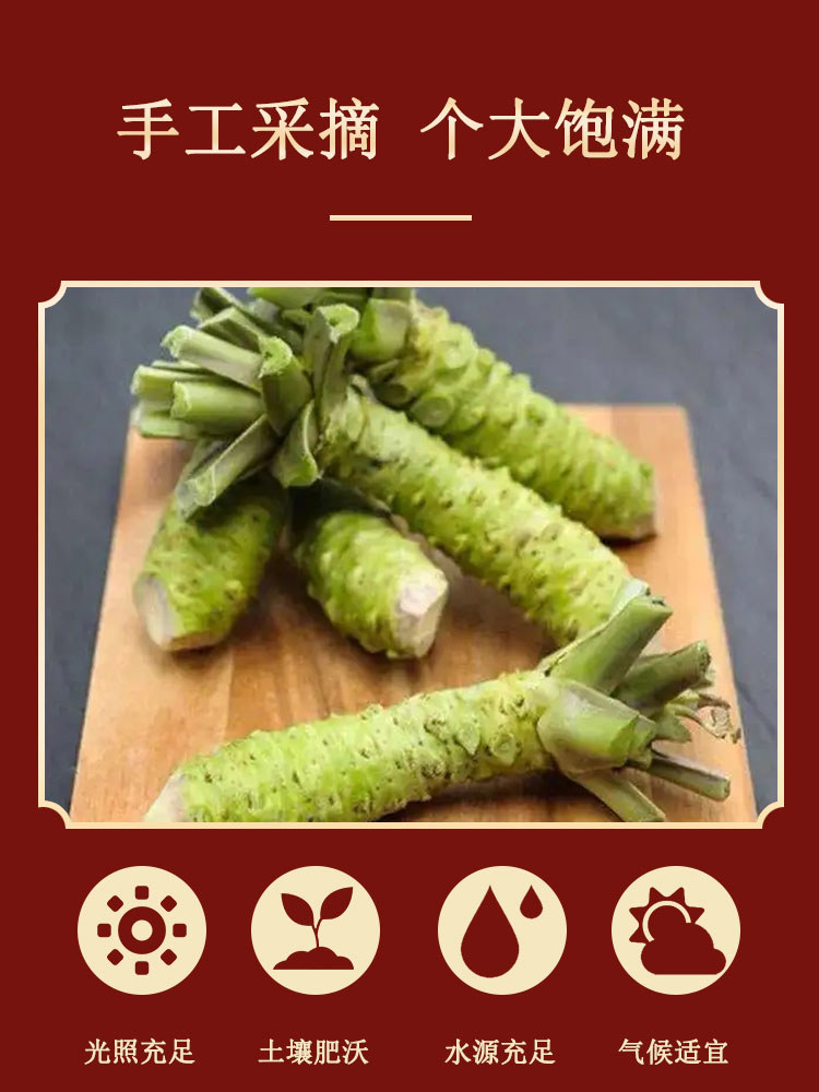 90pcs 그린 와사비 고추냉이씨 와사비씨 채소 식용 예쁜 정원 60g 겨자가루 : 나니스마켓