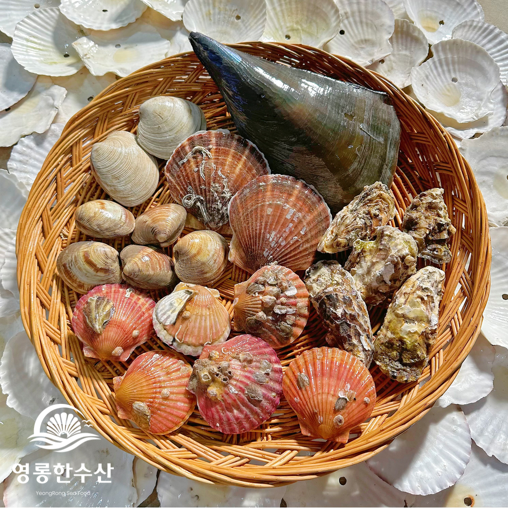 제철 모듬 조개 캠핑 밀키트 세트 (조개구이/조개찜/조개탕) : 영롱한수산