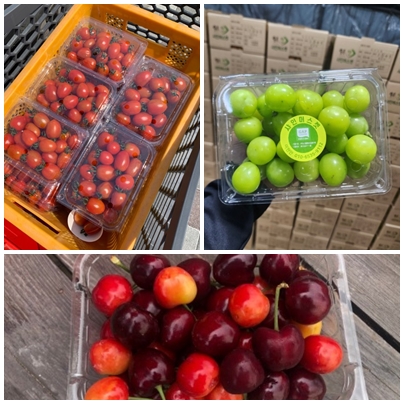과일용기 KMD-506 1BOX 400개 딸기 500g 방울토마토 블루베리 아로니아 : 국대포장산업