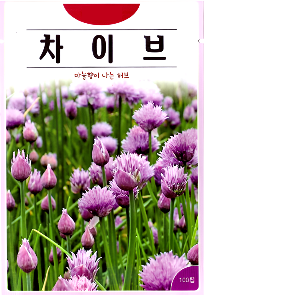 차이브100립 허브 꽃씨 씨앗 종자 : 남흥원예사