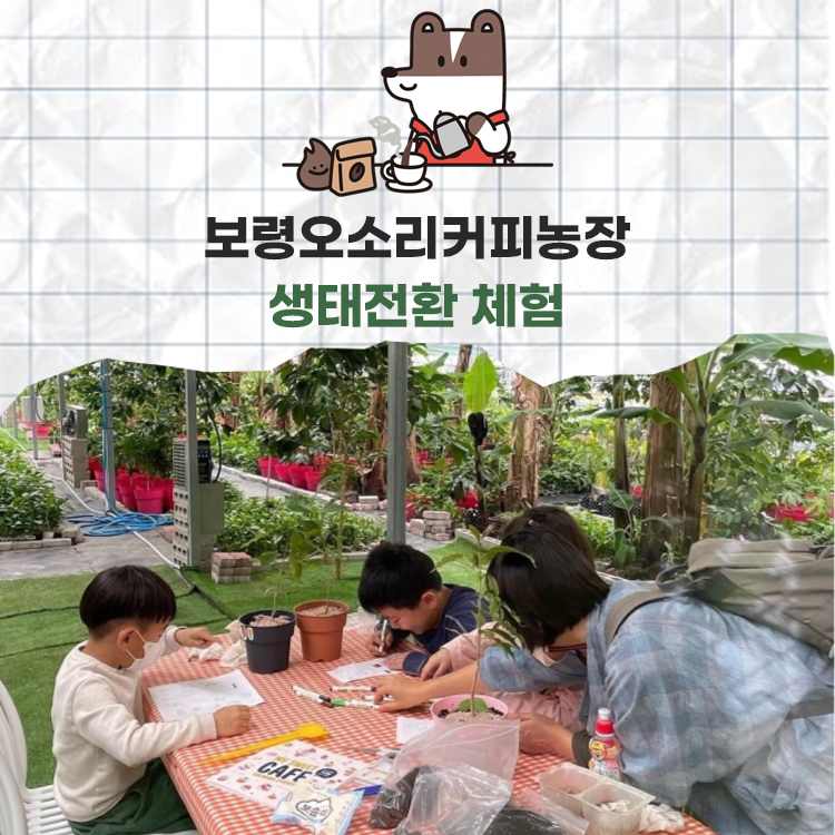 생태전환 체험학습 : 보령오소리커피농장