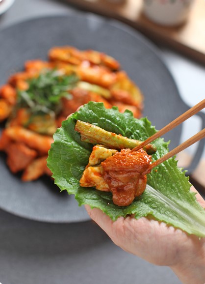 쉐프렐라 춘천닭갈비 닭갈비 500g 2인분 : 쉐프렐라 돈까스