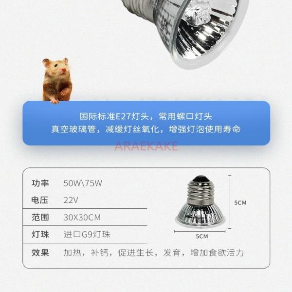 루딘 치킨 단열, 난방 조명, 메추라기 병아리 케이지, 사육 상자, 조경 설정, 다기능 애완 동물 용품 : 한미홀딩스