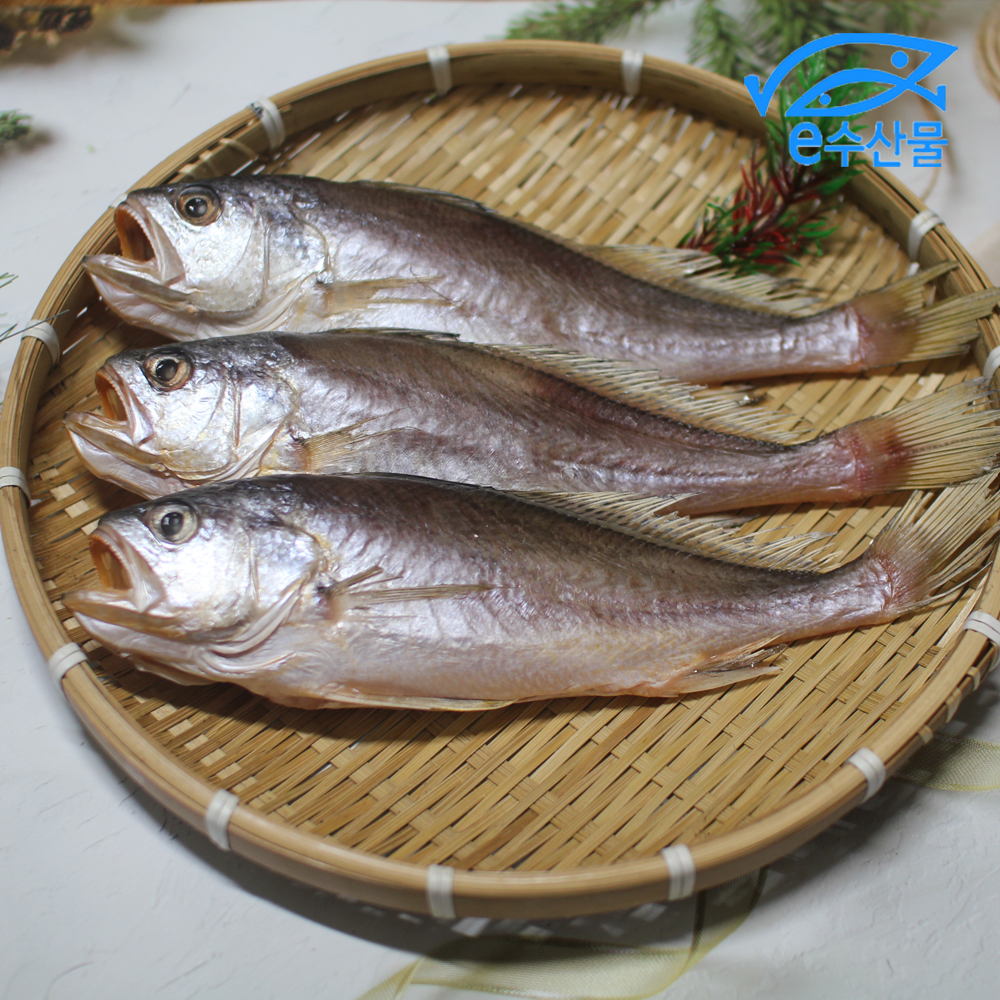 마산어시장 반건조 침조기 3마리 25cm 구이 찜 반찬용생선 조기 소금 간 후 말린 생선 : e수산물