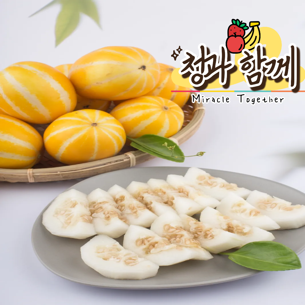 시원한 여름 노란파도 1인가구 특화 성주참외 15브릭스 이상 고당도 소과 꼬마소과 : 청과 함께