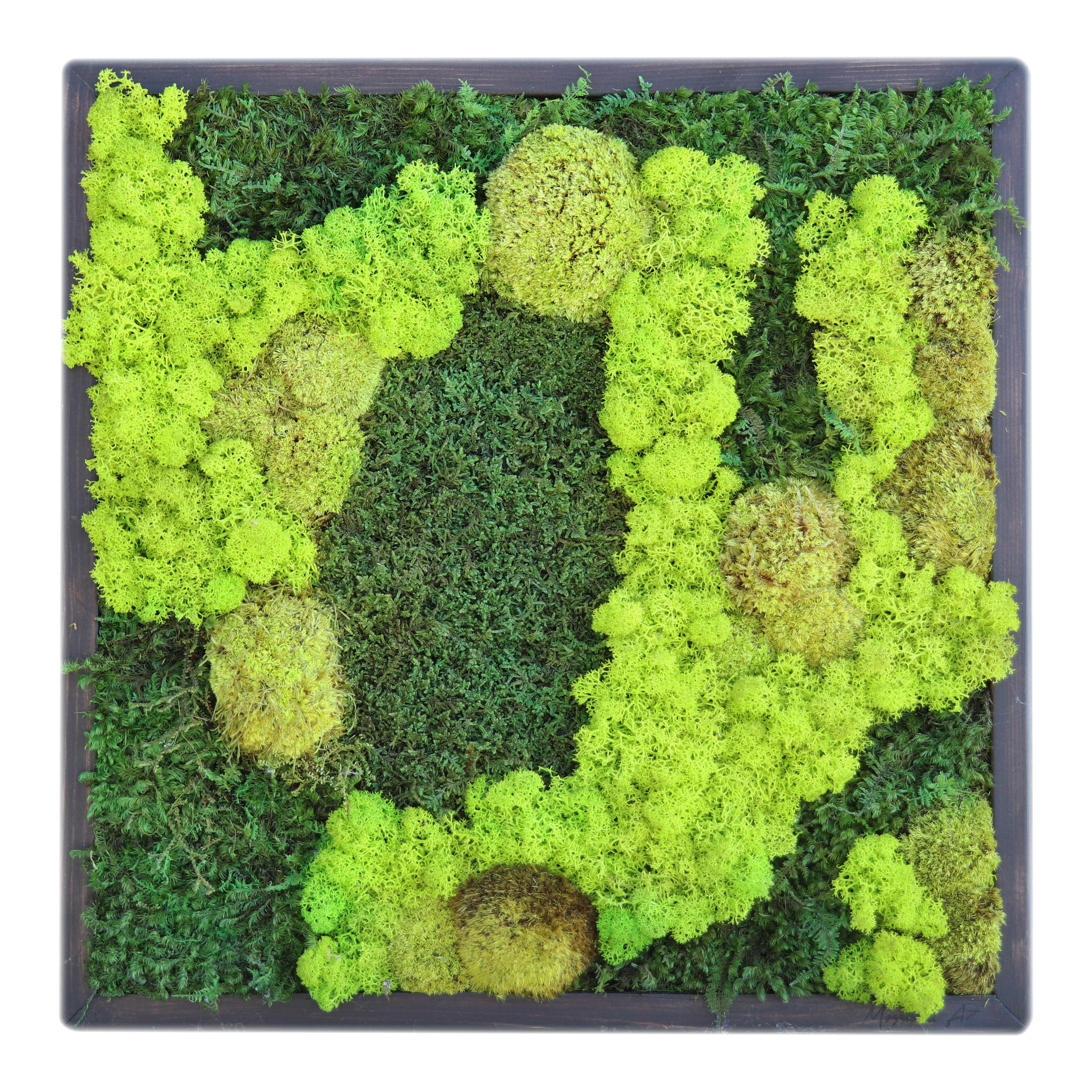모스월아트 MO-68 천연 이끼 액자 플랜테리아 모스 액자 : Mosswall ART