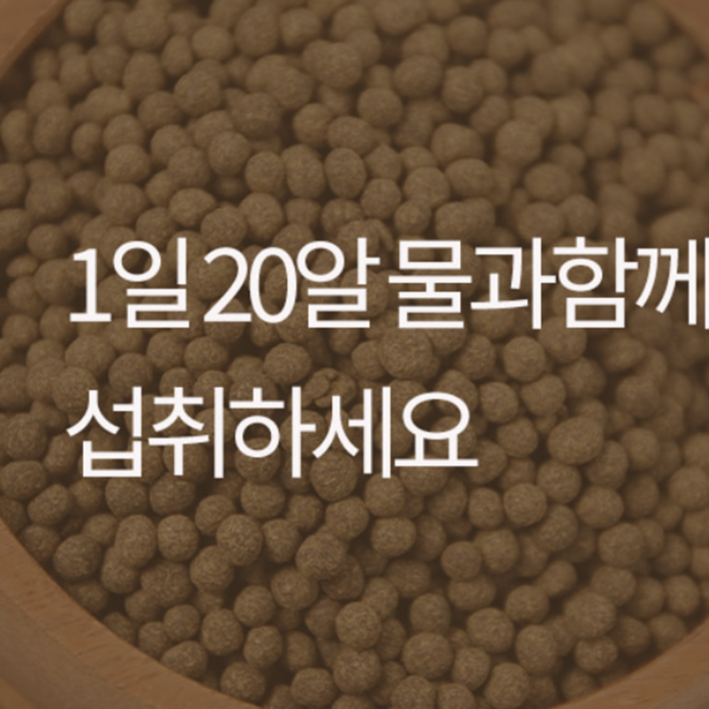 국내산 실속형 어성초환 500g 파는곳 : 모레바