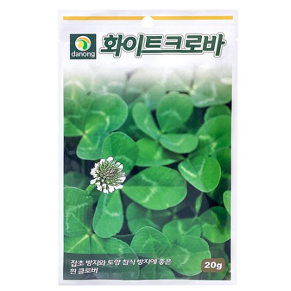 네잎클로버 씨앗 네잎클로버 재배 키우기 20g : 우리드리마트