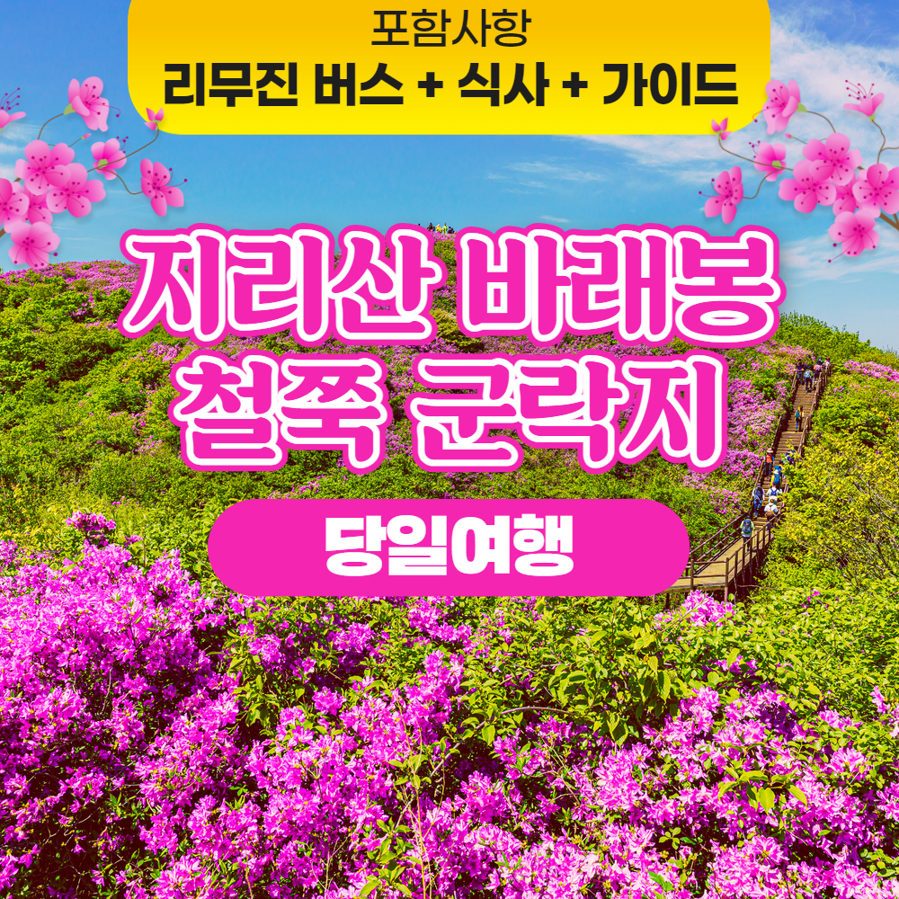 지리산 바래봉 철쭉 트레킹 서울 출발 버스 당일 여행 봄꽃 : 승우여행사
