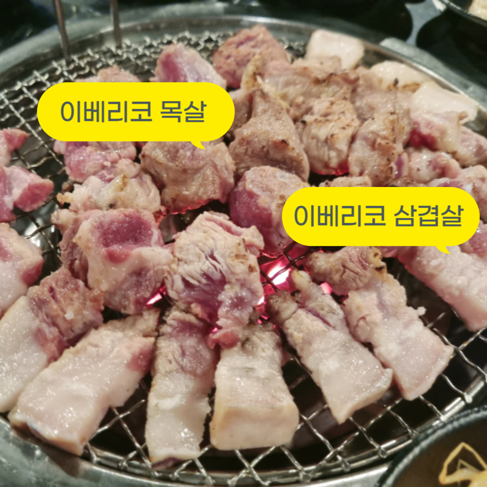 이베리코 돼지고기 듀록 삼겹살 1kg 목살 항정살 꽃목살 천겹살 수입 미박 : 이펠