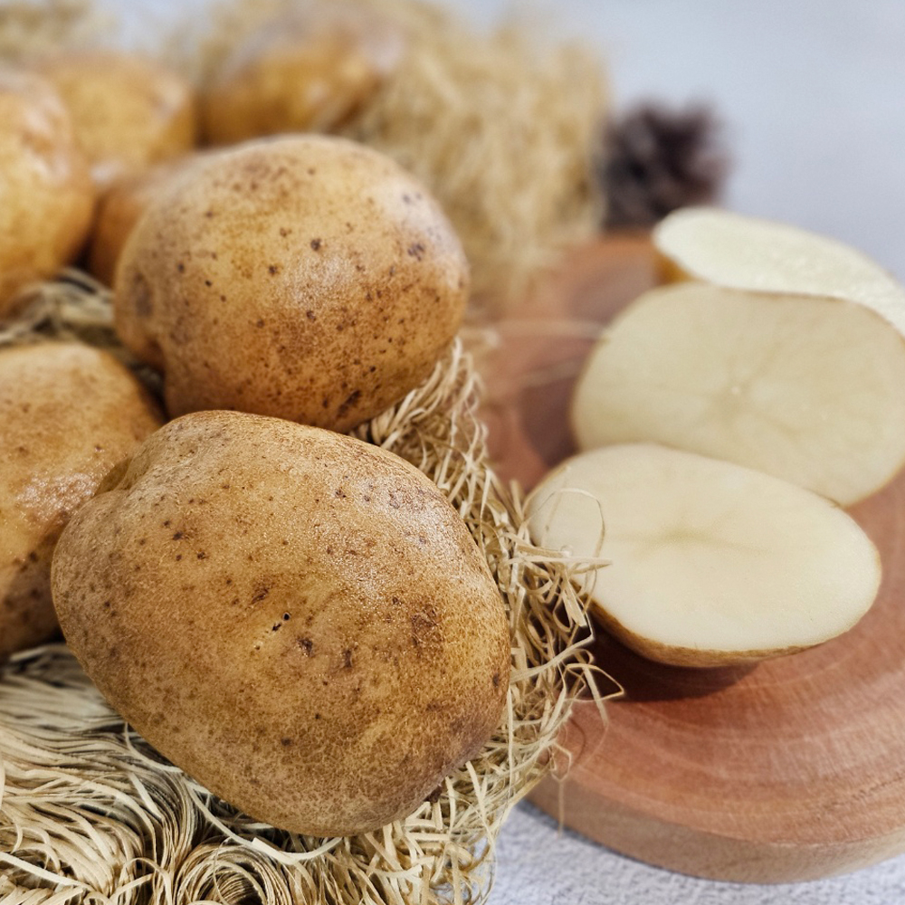 [햇감자] 국내산 신선한 감자 중(40-80g) 1kg 1.5kg 2kg 3kg 5kg 10kg 강원도/제주/전북/경남/경북 : 심쿵아이샵