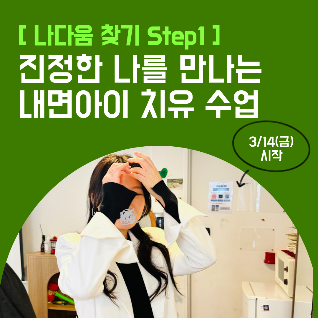 내면아이 치유 수업 : 청담알리사