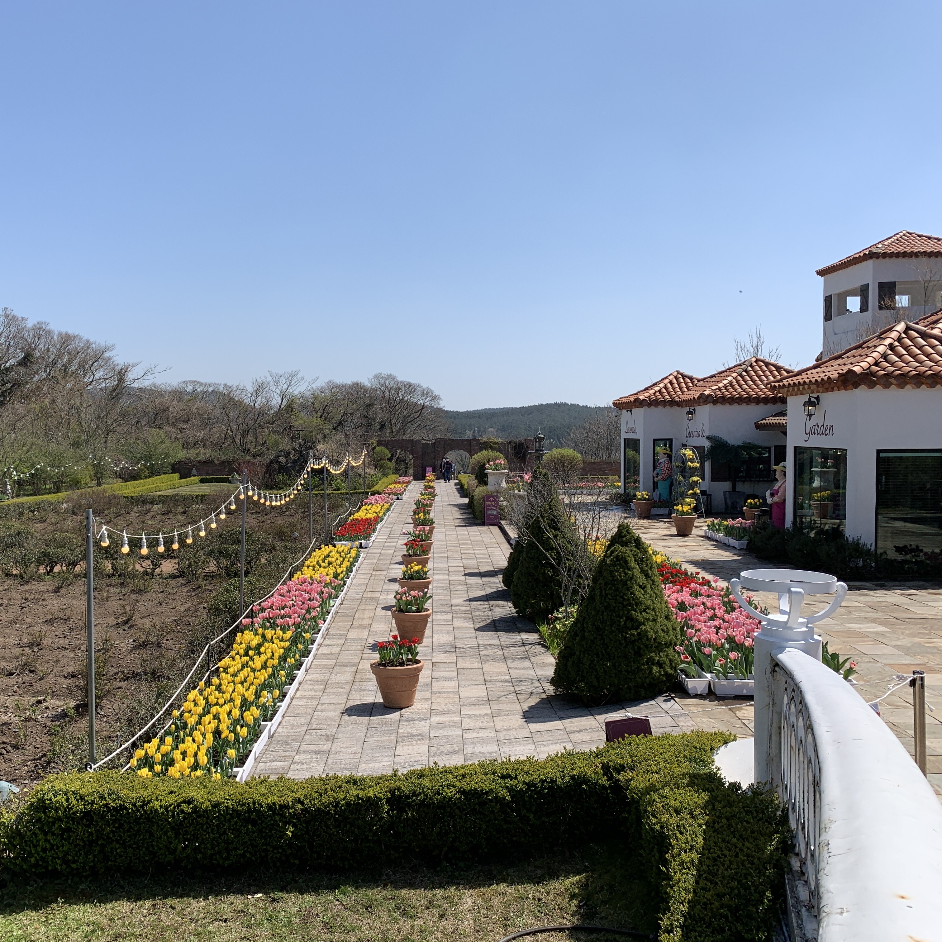제주 에코랜드 / 제주도 여행 기차 테마파크 관광지 축제 놀이공원 체험 사계절 꽃 명소 : 브이패스