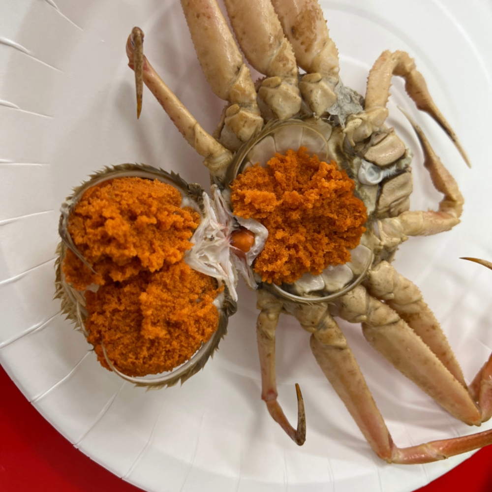 북해도 빵게 암컷대게 방게 치미대게 암 숫 일본 대게 1kg : 청정한끼푸드마켓