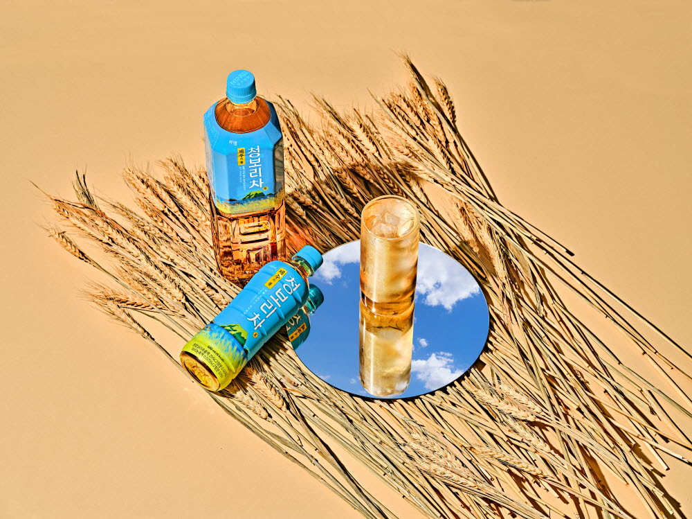 [쟈뎅위크]쟈뎅 제주의 봄 청보리차 500ml, 20개 (1box) : JARDIN