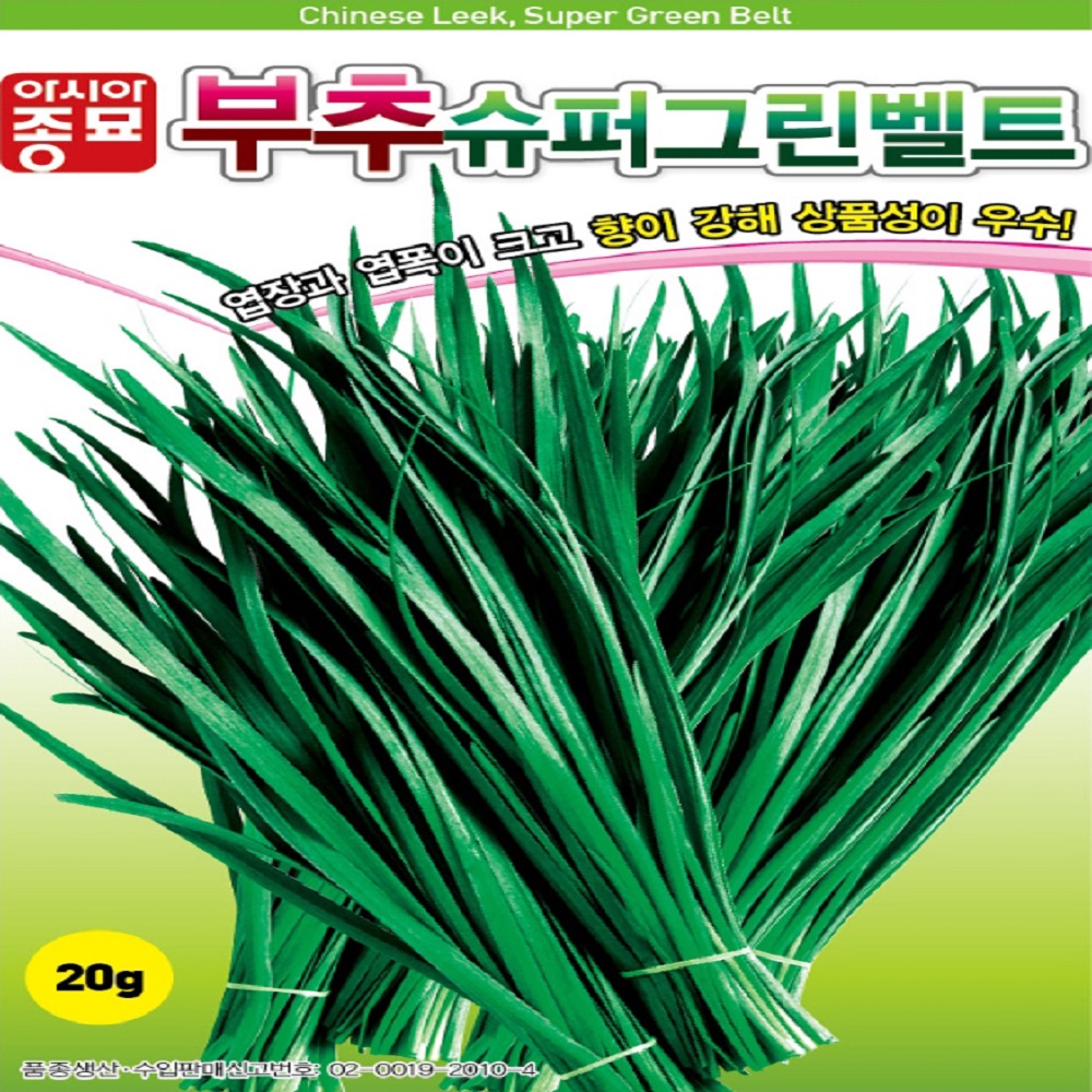 부추 슈퍼그린벨트 씨앗(20g) : 365일 모종마트
