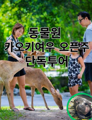 [단독투어/파타야] 카오키여우 오픈주 단독투어 : 박군투어
