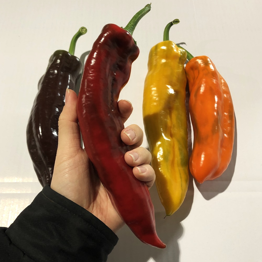트리벨리파프리카 바나나파프리카 롱파프리카 팔레르모 1kg, 1개 : 금성농산