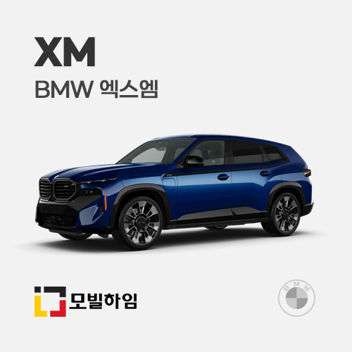 BMW XM 차바닥매트 : 모빌하임